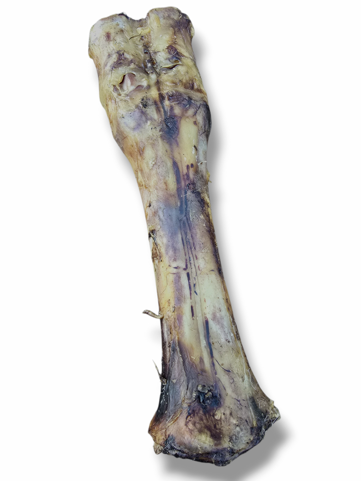 Getrocknete Rinderknochen 30-35 cm für Hunde | 100% Rind | Kausnack