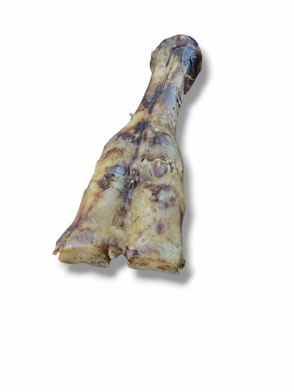 Getrocknete Rinderknochen 30-35 cm für Hunde | 100% Rind | Kausnack