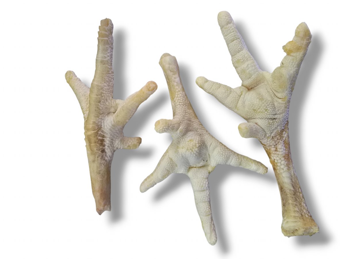 Getrocknete weiße Hühnerfüße für Hunde | 100% Huhn | Kausnack