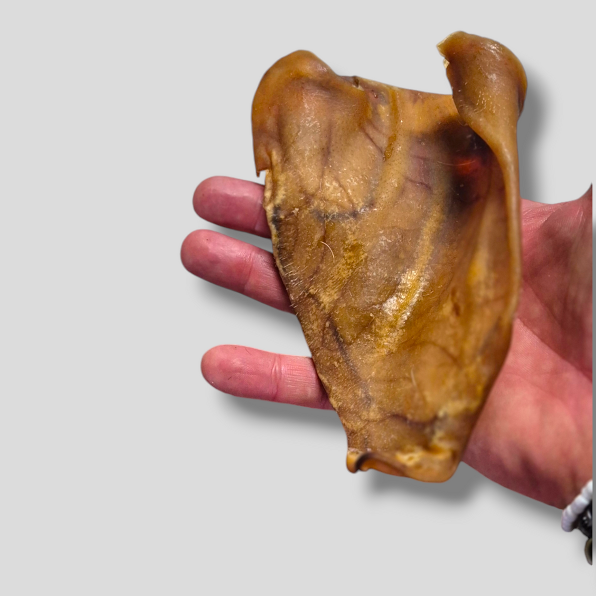 Getrocknete Schweineohren für Hunde | 100% Natur | Kausnack