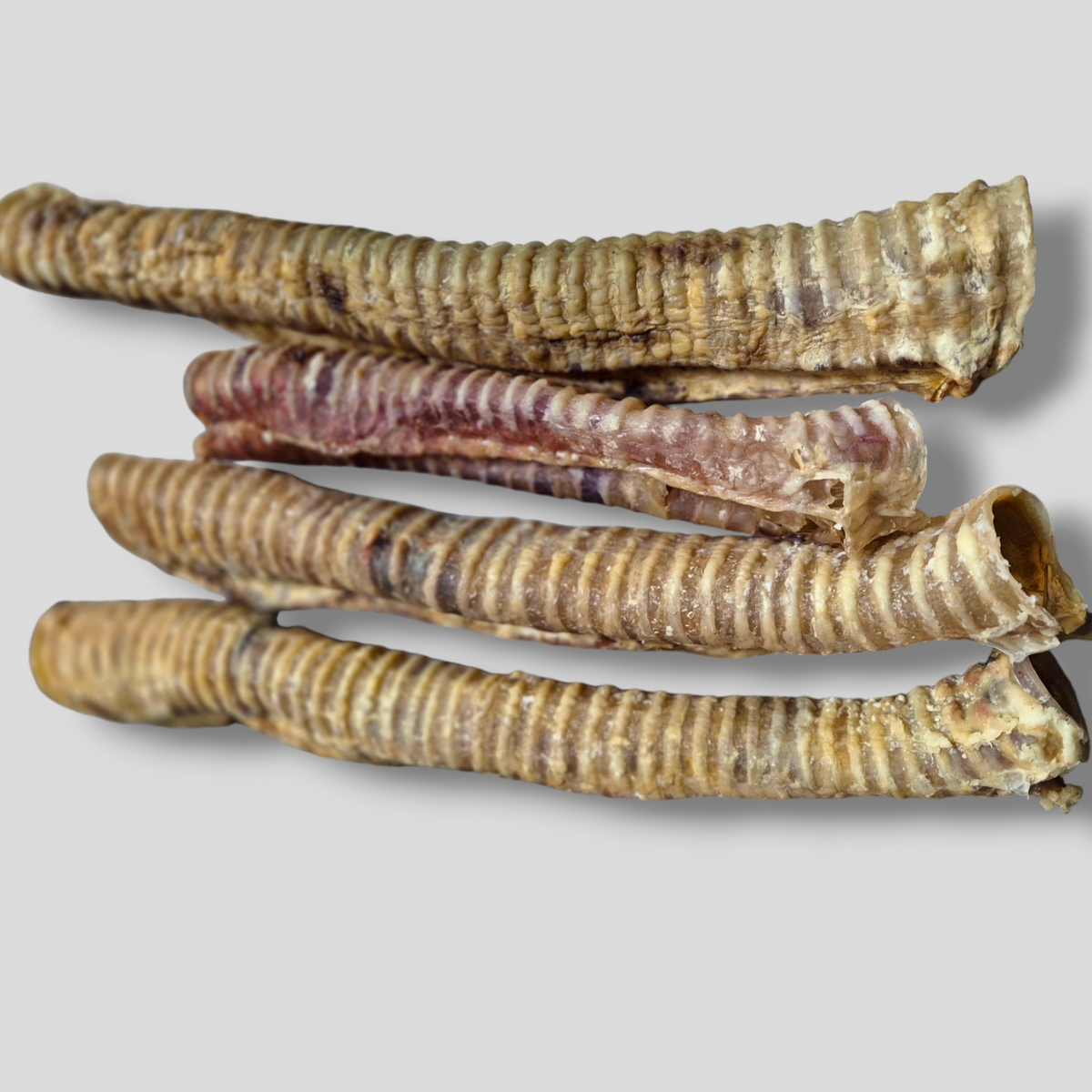 Getrocknete Rinderstrossen 30-45 cm für Hunde | 100% Rind | Kausnack